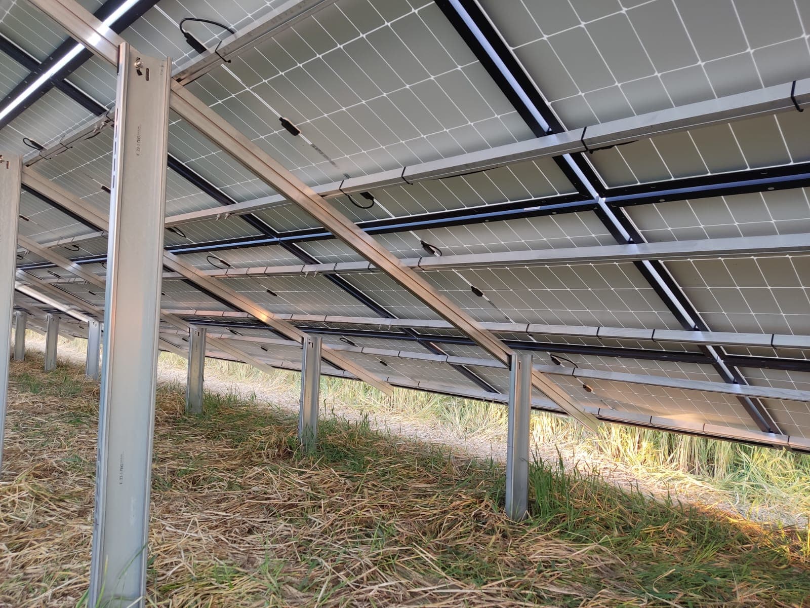 Realizacja Kampar – zdjęcie 20